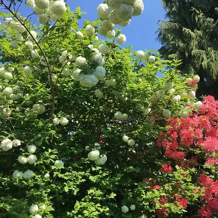 ベッド・アンド・ブレックファスト Les Jardins De Beaumont