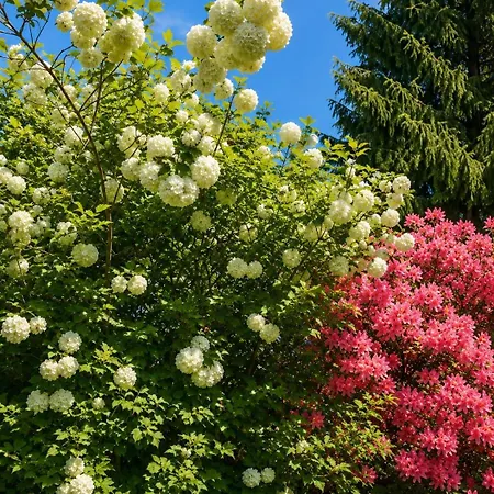 Les Jardins De Beaumont Bed and Breakfast 3*