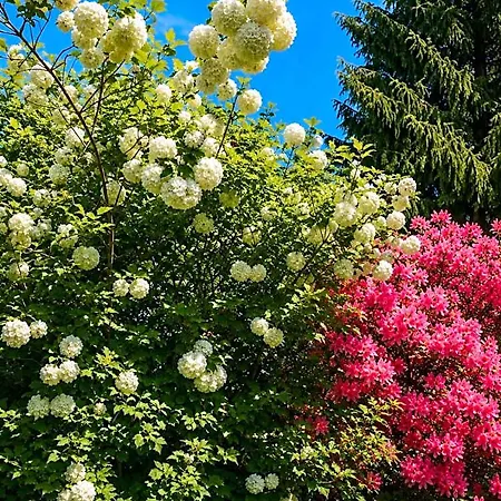 Les Jardins De Beaumont Panzió Hem